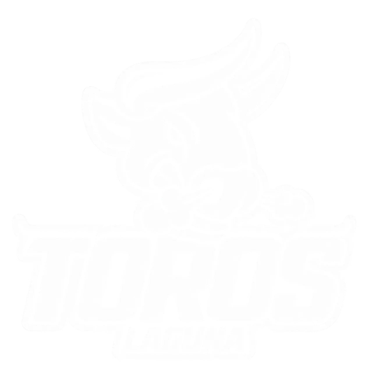 Toros